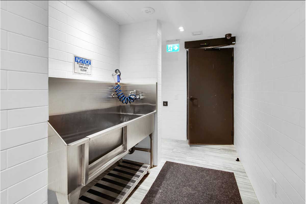 Pet Wash Station